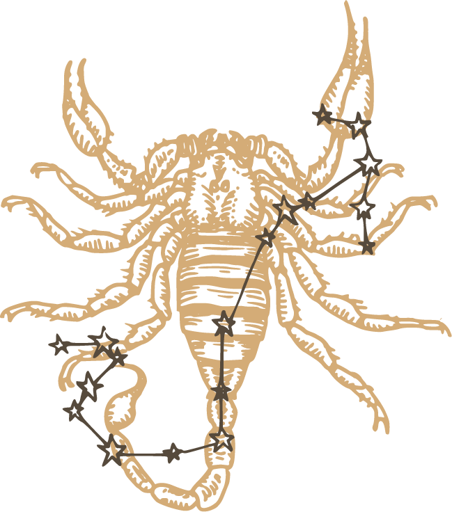 SCORPION