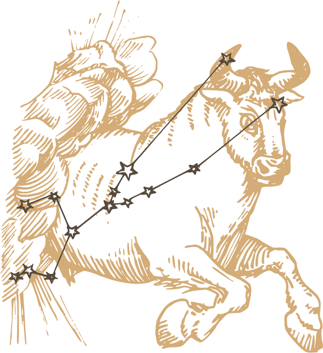 TAUREAU