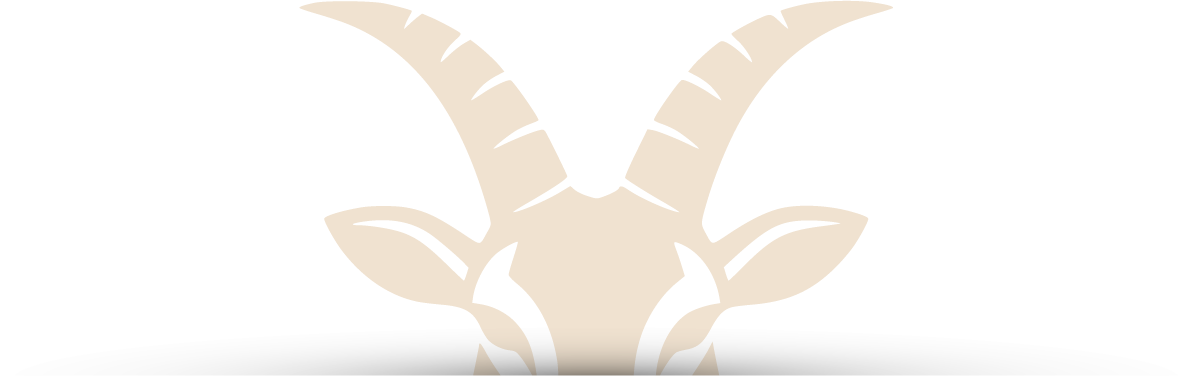 Capricorne